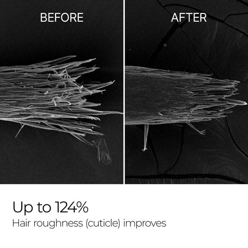 Bondex bonding and remodeling line